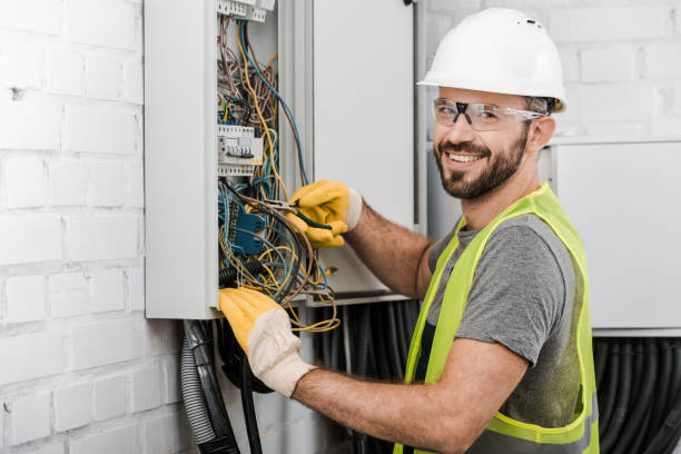 Best Electric Panel Repair  in North Branch, MN