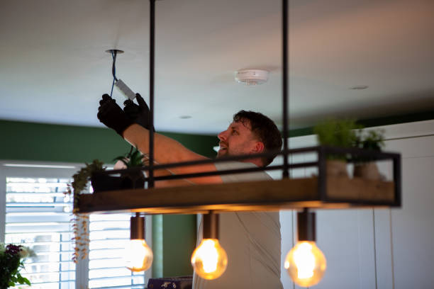 Best Electric Panel Repair  in North Branch, MN